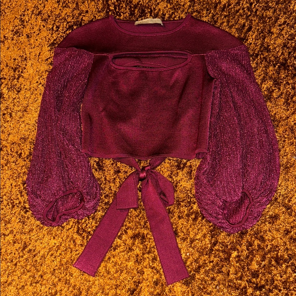 Zara Burgundy Crop Top with Puff Sleeves - Picture 1 of 5